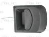 BLIC 6010-30-002401P Door Handle